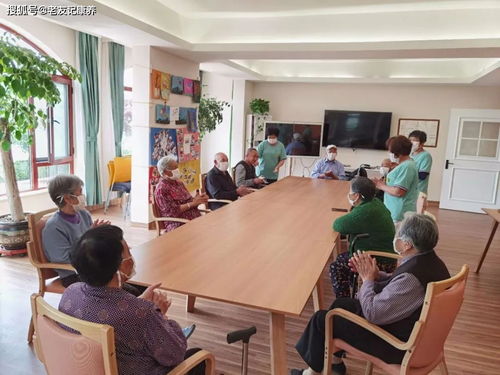 香港长者为何青睐珠海 大湾区养老的智慧选择与烟台教育咨询服务的启示